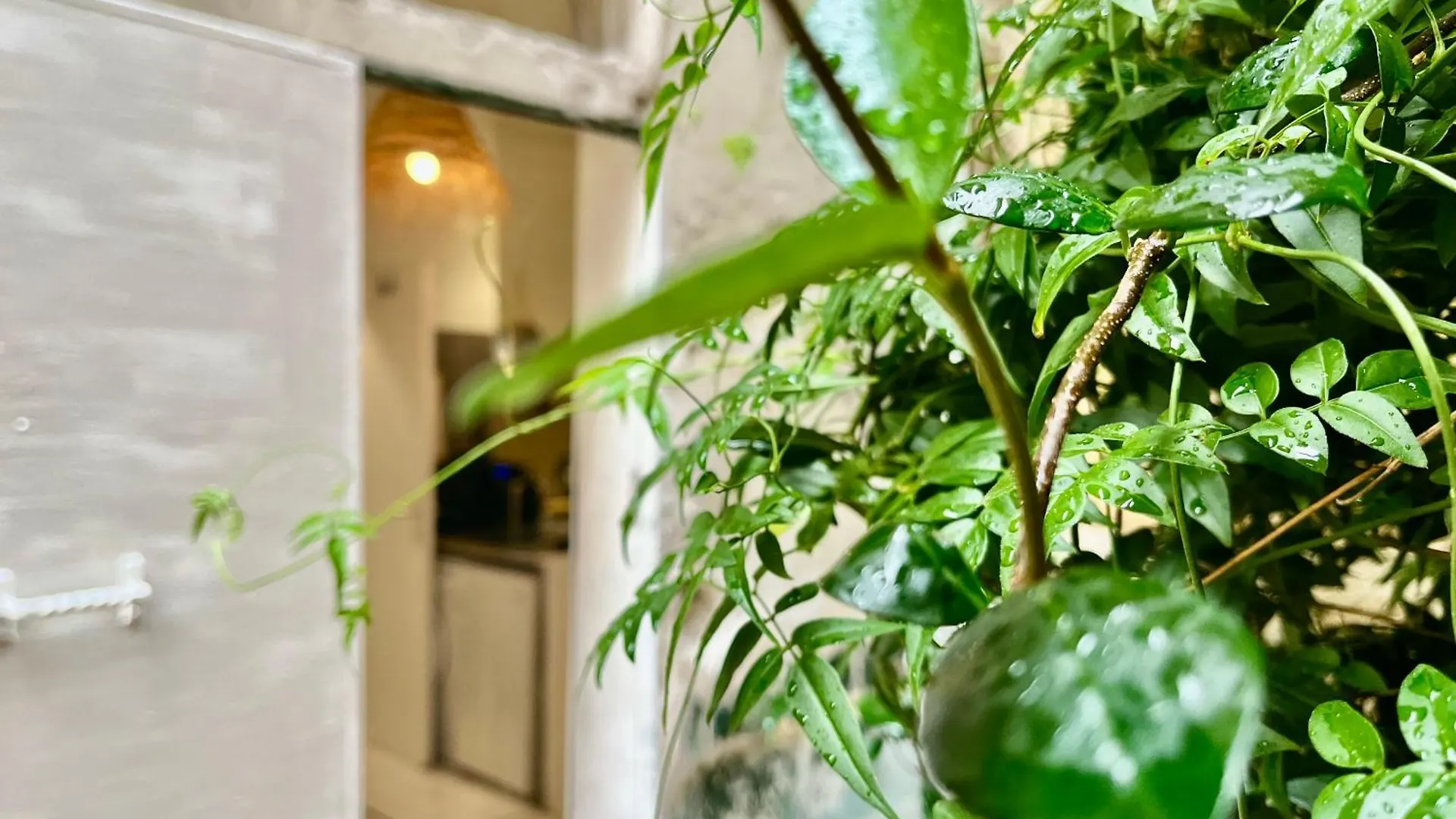 Studio Centre Paris Calme Cosy